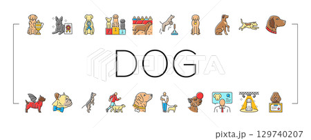 dog competition show breed icons set vector 129740207