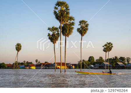 Bugis fisherman's boat at sunset on Lake Tempe, Sulawesi, Indonesia 129740264