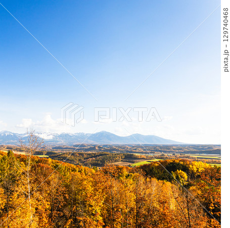 爽やかな秋の北海道美瑛町からの紅葉風景 129740468