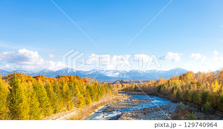 爽やかな秋の北海道美瑛町を流れる美瑛川と紅葉風景 129740964