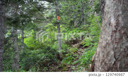 西穂山荘への登山道にある道標 129740987