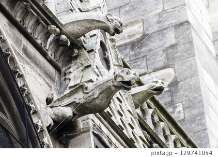 Gargoyles of Notre Dame cathedral in Paris Gargoyles of Notre Dame cathedral in Paris 129741054