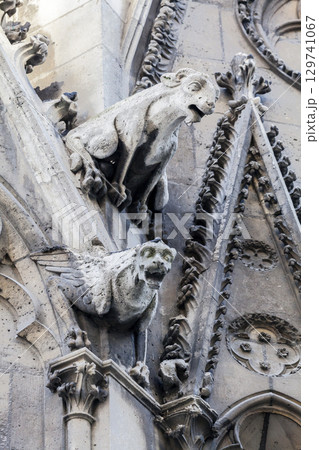 Gargoyles of Notre Dame cathedral in Paris 129741067