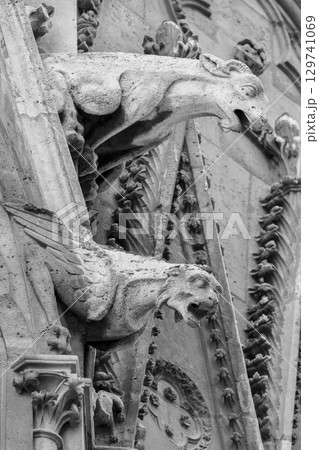 Gargoyles of Notre Dame cathedral in Paris Gargoyles of Notre Dame cathedral in Paris 129741069