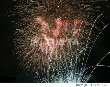 越前市サマーフェスティバル 花火大会 越前市サマーフェスティバル 花火大会 129741875