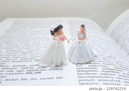 Miniature Brides Figurines on an Open Dictionary Page 129742214