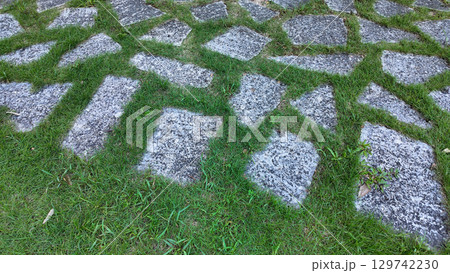 Aug 10 2025 Patterned Stone Pathway Embedded in Grass Captured 129742230