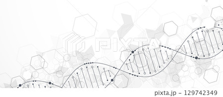 Abstract hexagon futuristic background for design works.Science template, wallpaper or banner with a DNA molecules. Abstract hexagon futuristic background for design works.Science template, wallpaper or banner with a DNA molecules. 129742349