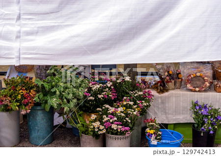 250726宮川朝市g187 250726宮川朝市g187 129742413