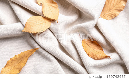 白い布の上に散らばる秋の落ち葉 白い布の上に散らばる秋の落ち葉 129742485