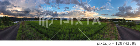 250726上野平z005-017P 129742599