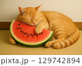 スイカを抱いて寝る猫 129742894