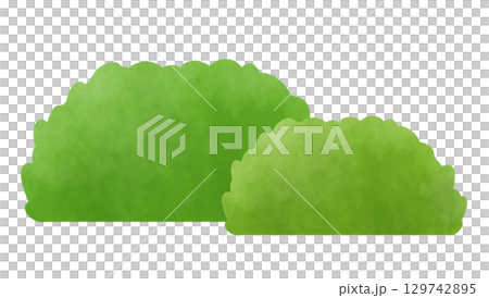 灌木叢插圖 灌木叢插圖 129742895