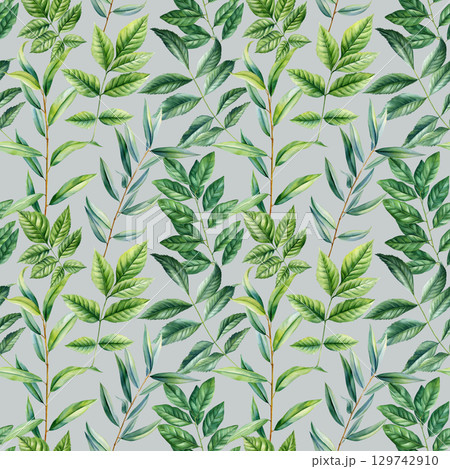 Green botanical leaves branches and foliage watercolor seamless nature pattern for tropical decorative design, spring plants 129742910