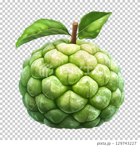 Custard Apple Vibrant Green Cherimoya Fruit Illustration On Transparent Background 129743227
