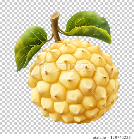 Cherimoya Fruit Vibrant Illustration of a Creamy Custard Apple On Transparent Background 129743228
