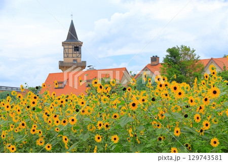 山梨 ハイジの村 129743581