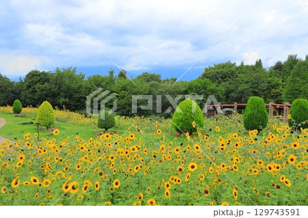 山梨 ハイジの村 129743591