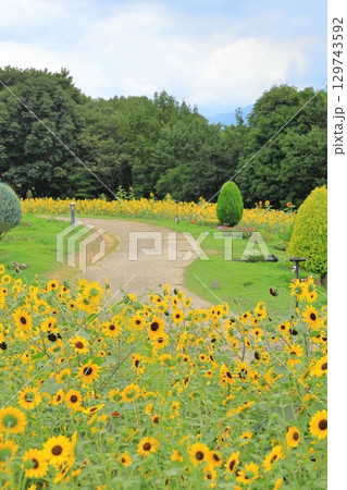 山梨 ハイジの村 129743592