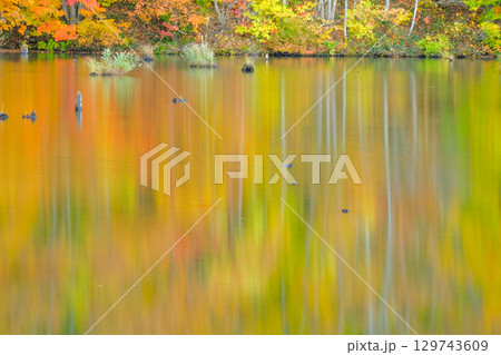 秋色パレット 129743609