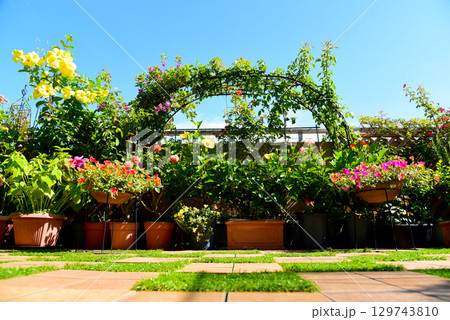 沢山花が咲くルーフバルコニー 毎日、お花と過ごす贅沢な生活 沢山花が咲くルーフバルコニー 毎日、お花と過ごす贅沢な生活 129743810