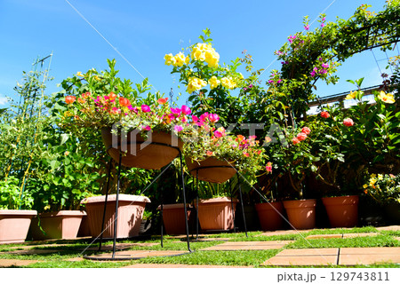 夏の青空の下、ルーフバルコニーをカラフルにトロピカルな空間に 夏の青空の下、ルーフバルコニーをカラフルにトロピカルな空間に 129743811
