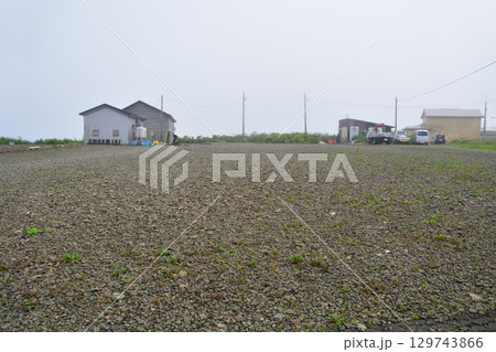 北海道、納沙布岬(2023年) 129743866