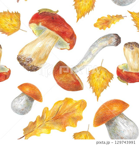 Autumn Autumn 129743991
