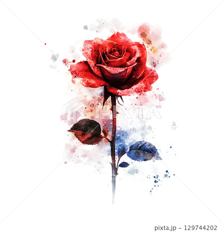 Red Rose Watercolor Painting Artistic Floral Design Element On Transparent Background 129744202