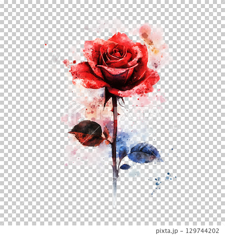 Red Rose Watercolor Painting Artistic Floral Design Element On Transparent Background 129744202