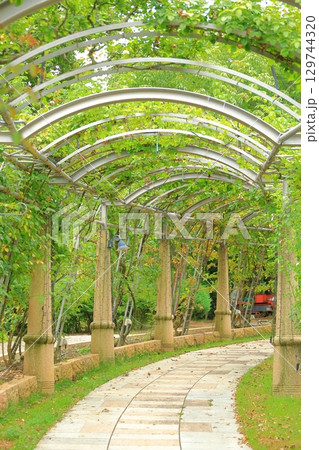 山梨　ハイジの村 129744320