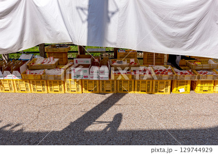 250804宮川朝市z041 129744929