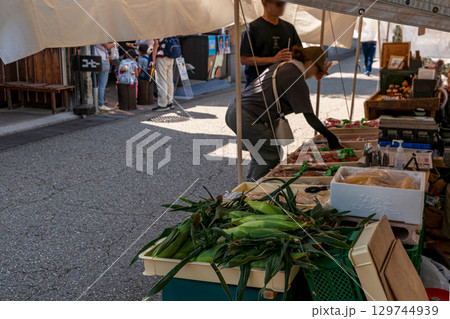 250804宮川朝市z062 129744939