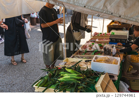 250804宮川朝市z097 250804宮川朝市z097 129744961