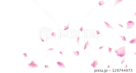 Pastel pink flower petals fall on abstract floral background with beautiful petal greeting card design. Vector illustration 129744973