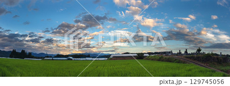 250806上野平z004-011P 250806上野平z004-011P 129745056