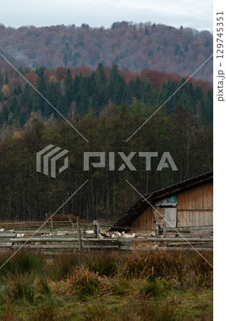 Misty autumn landscape with rustic cabin surrounded by vibrant foliage and serene farmland in the heart of nature's embrace 129745351