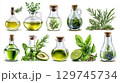 Collection of herbal spa massage oils and fresh herb watercolor on white background. 129745734