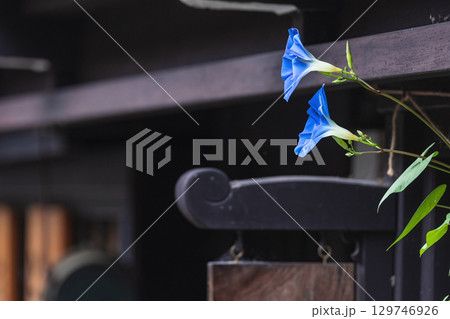 250816さんまちg032 250816さんまちg032 129746926