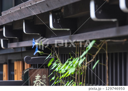 250816さんまちg066 250816さんまちg066 129746950