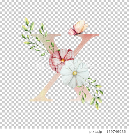 Watercolor letter X with floral ornament and soft foliage, gerbera, chamomile, echinacea. Delicate hand drawn alphabet, butterfly and botanical elements in elegant. Transparent PNG, perfect for 129746986