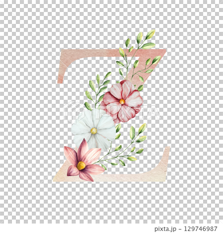 Watercolor letter Z with floral ornament and soft foliage, gerbera, chamomile, echinacea. Delicate hand drawn alphabet, butterfly and botanical elements in elegant. Transparent PNG, perfect for 129746987