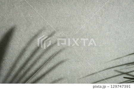 Shadow of palm leaf on textured gray wall. Shadow of palm leaf on textured gray wall. 129747391