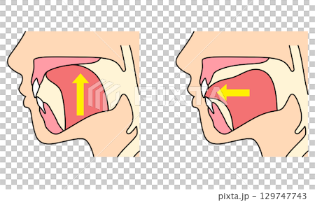 如何正確喵喵叫：正確且不正確的舌頭位置 129747743