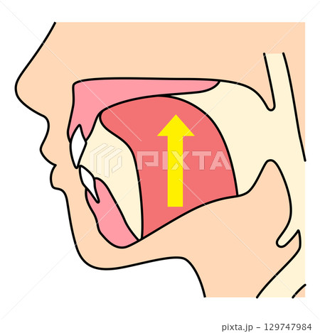 正しいミューイングの方法　適正な舌の位置と誤った舌の位置 129747984