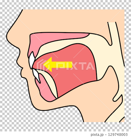 ミューイングの方法 誤った舌の位置 ミューイングの方法 誤った舌の位置 129748003