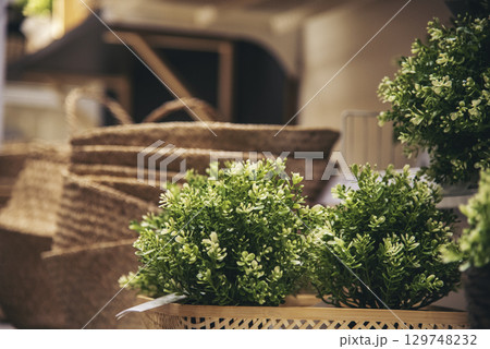 Plant pot office decor on wood table. Green decorate home office desk. Green potted plant on wood office desk in springtime garden. Fern bush green leaf foliage floral Houseplant home office decor 129748232