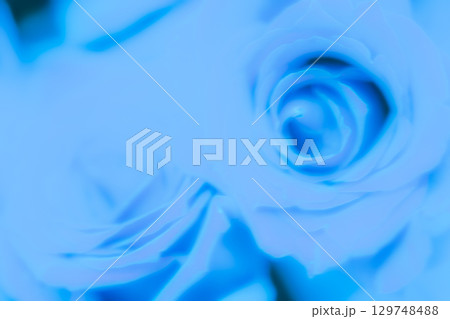青い薔薇の背景用素材　(写真素材) 129748488