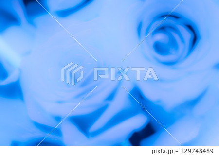 青い薔薇の背景用素材　(写真素材) 129748489