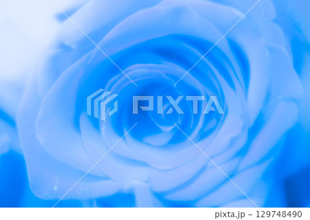 青い薔薇の背景用素材 (写真素材) 青い薔薇の背景用素材 (写真素材) 129748490